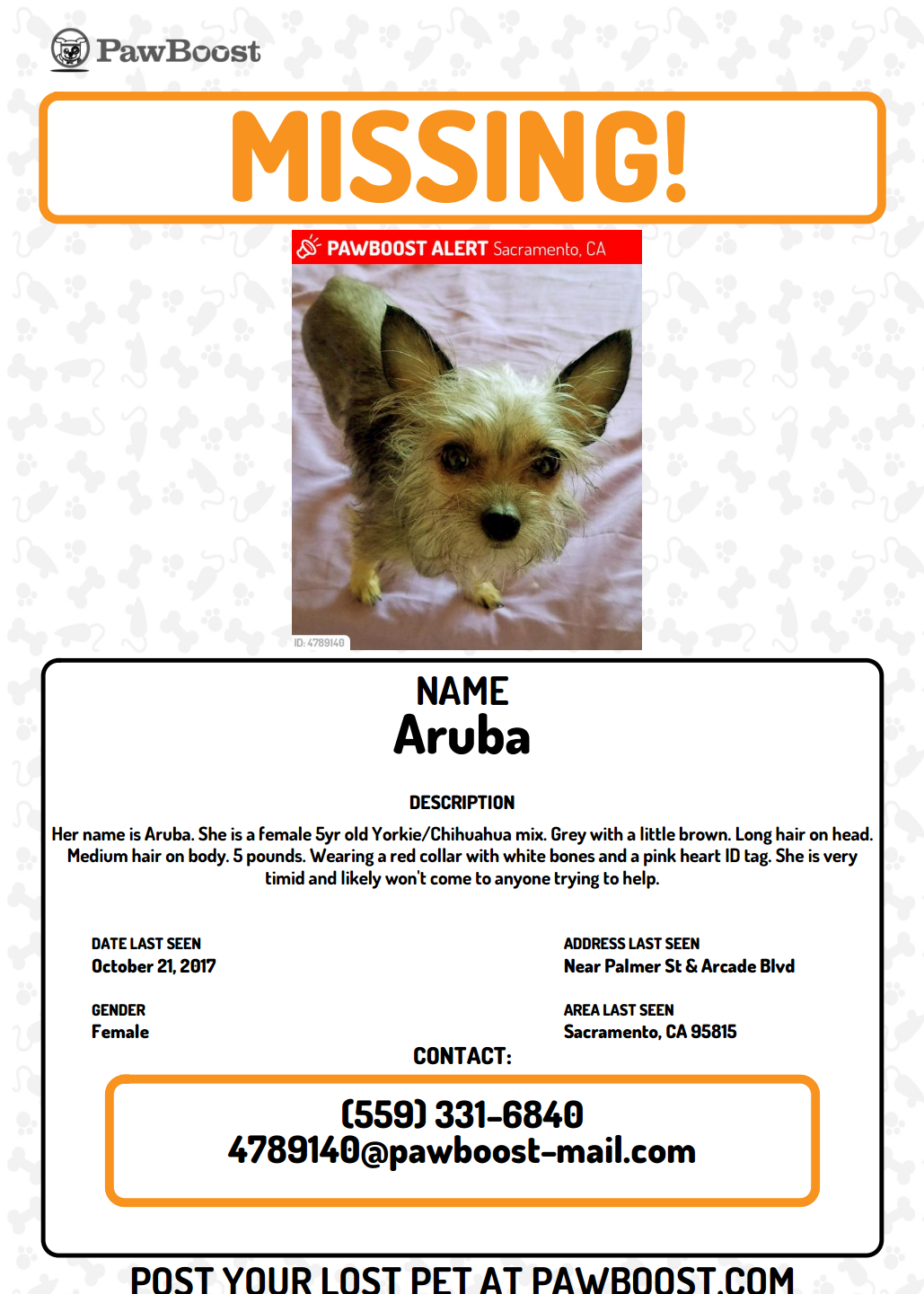 Image of Aruba, Lost Dog