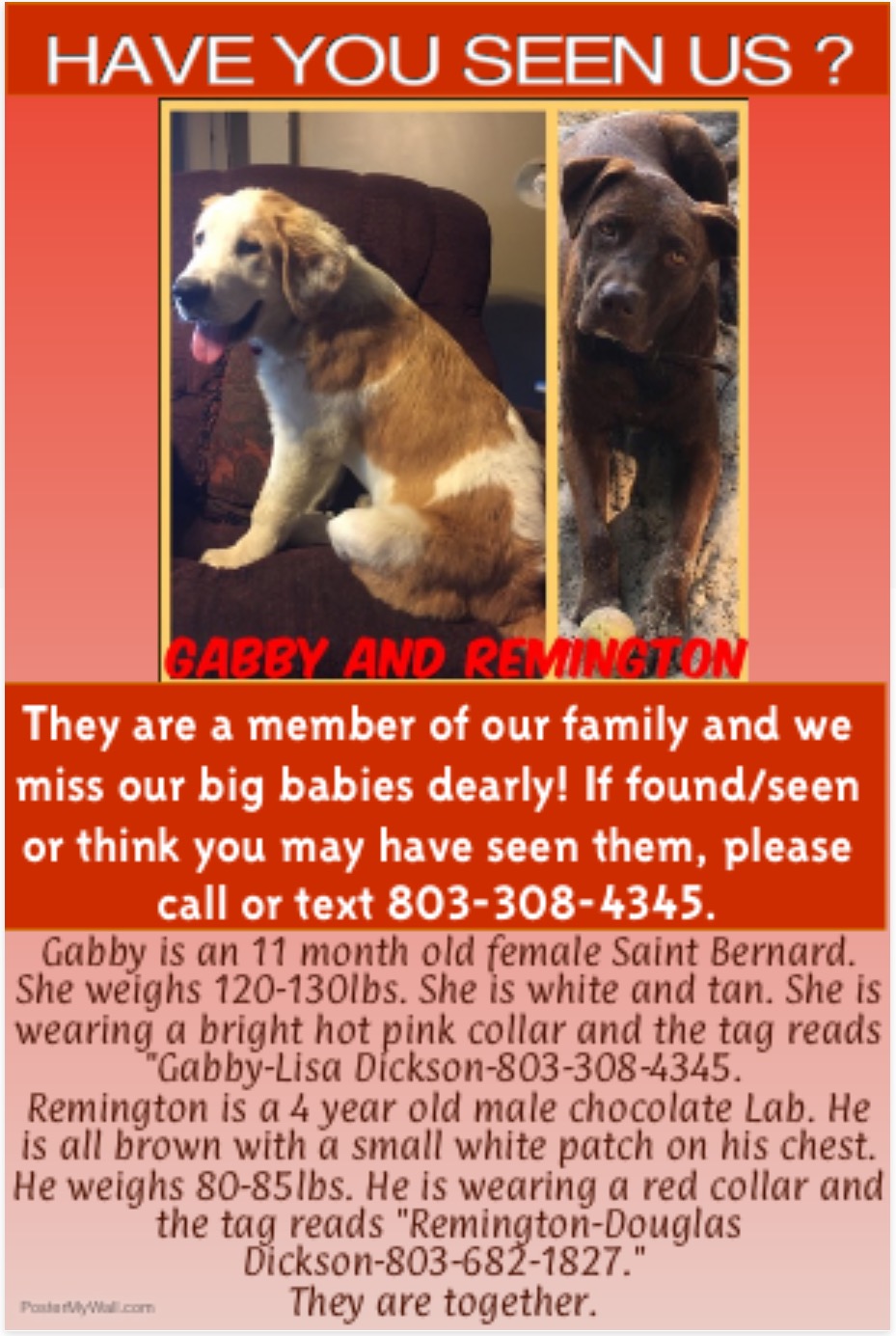 Image of Gabby and Remington, Lost Dog