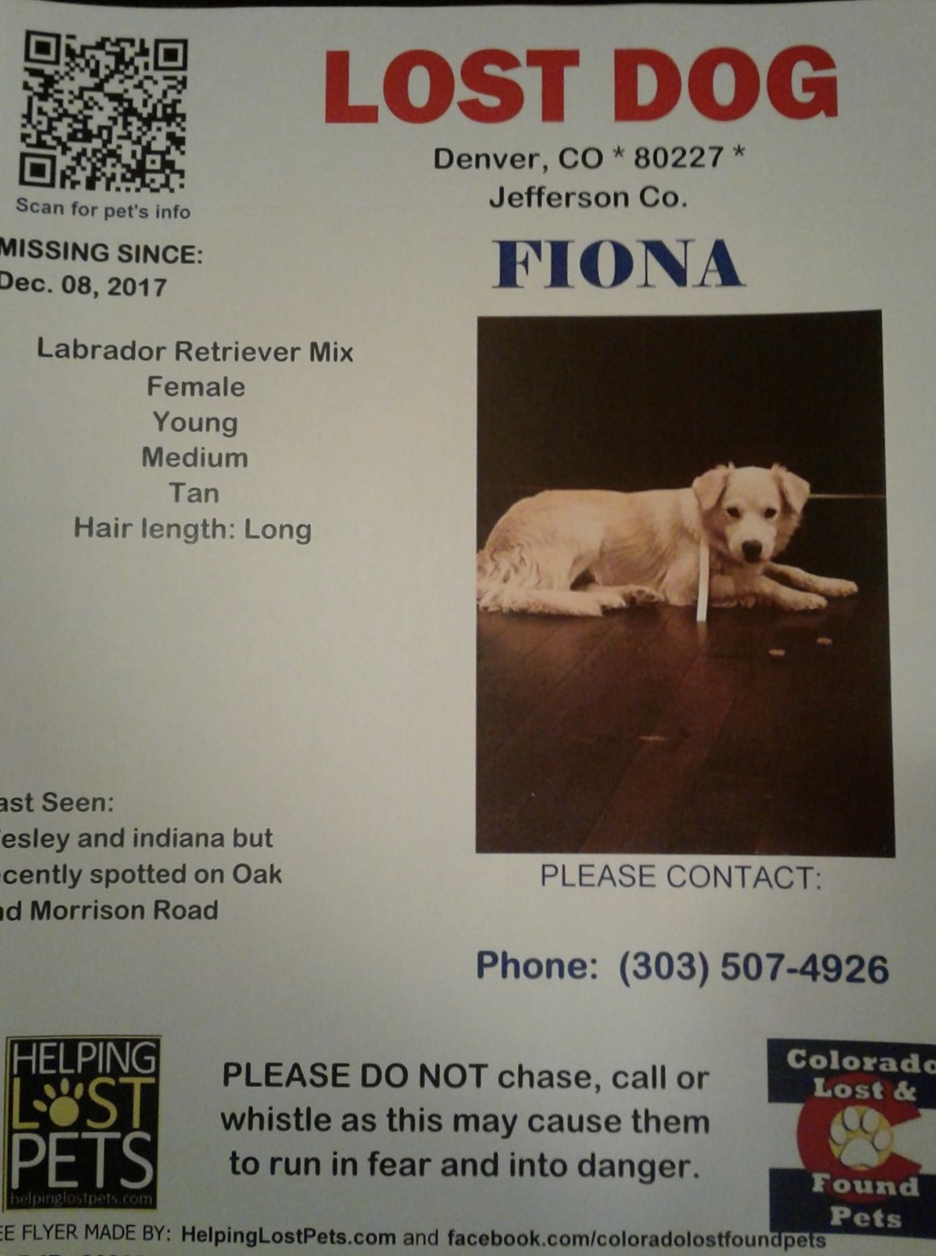 Image of Fiona, Lost Dog