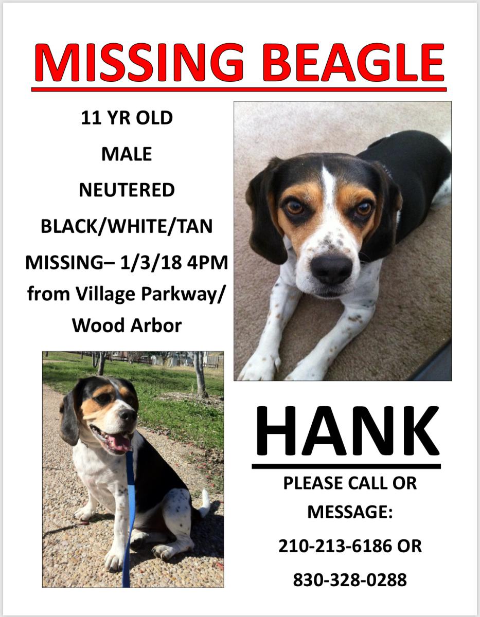 Image of Hank, Lost Dog