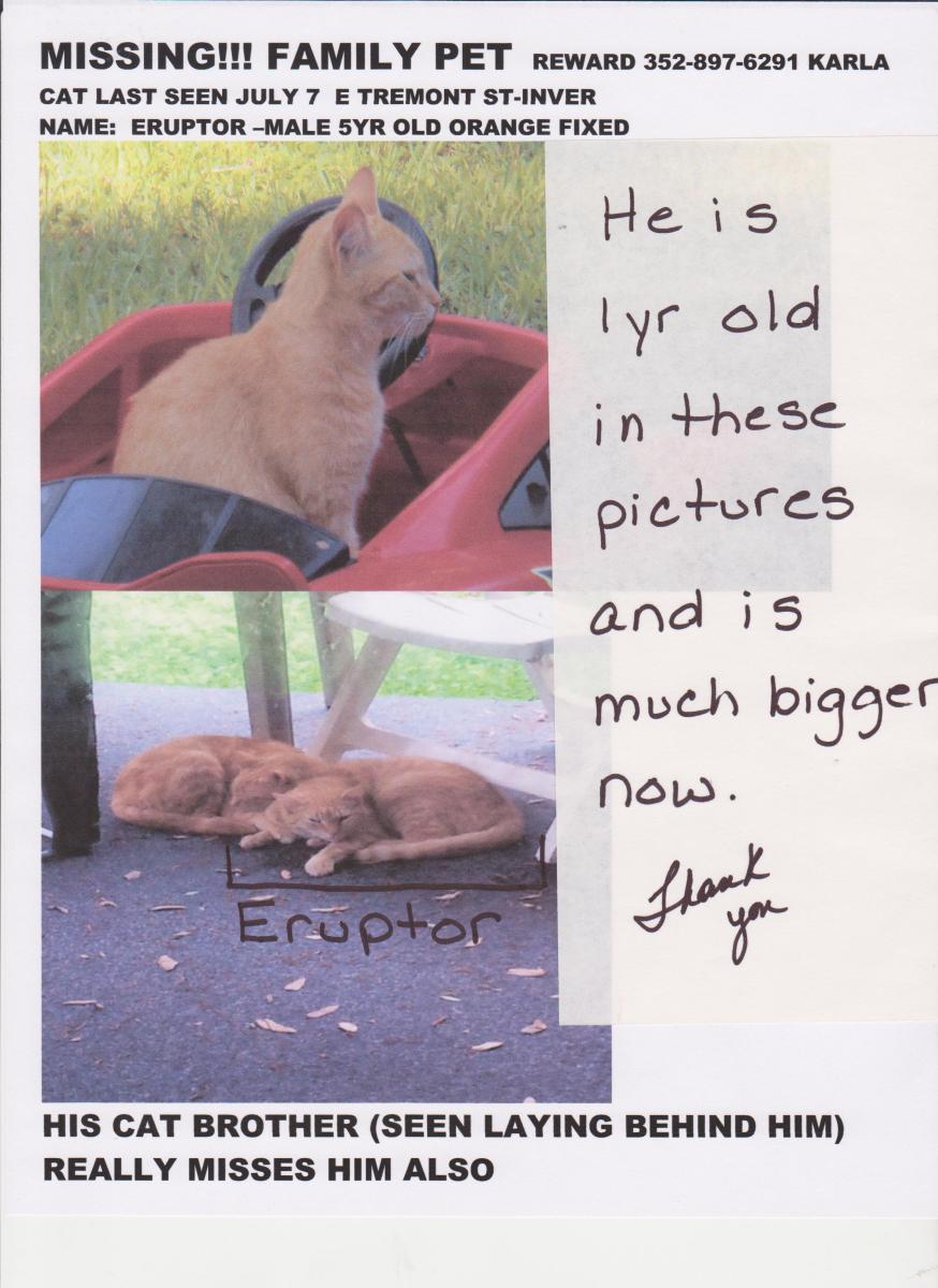 Image of Eruptor, Lost Cat