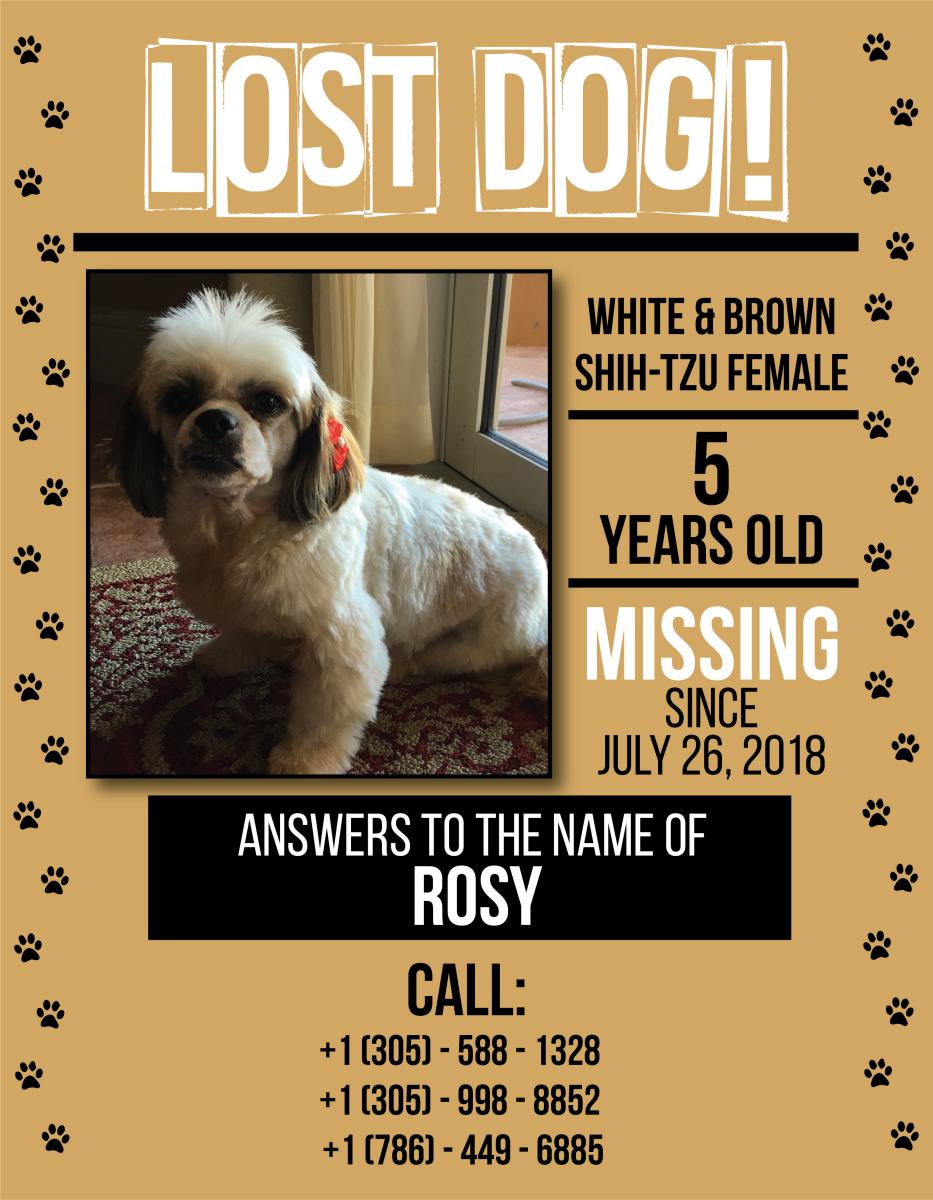 Image of Rosy, Lost Dog