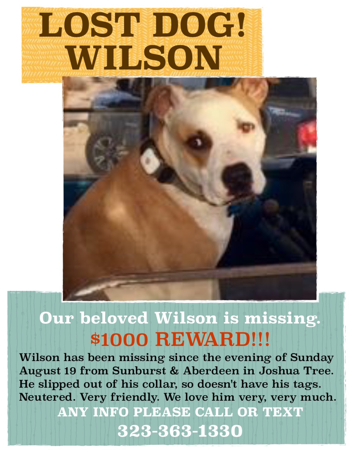 Image of Wilson, Lost Dog