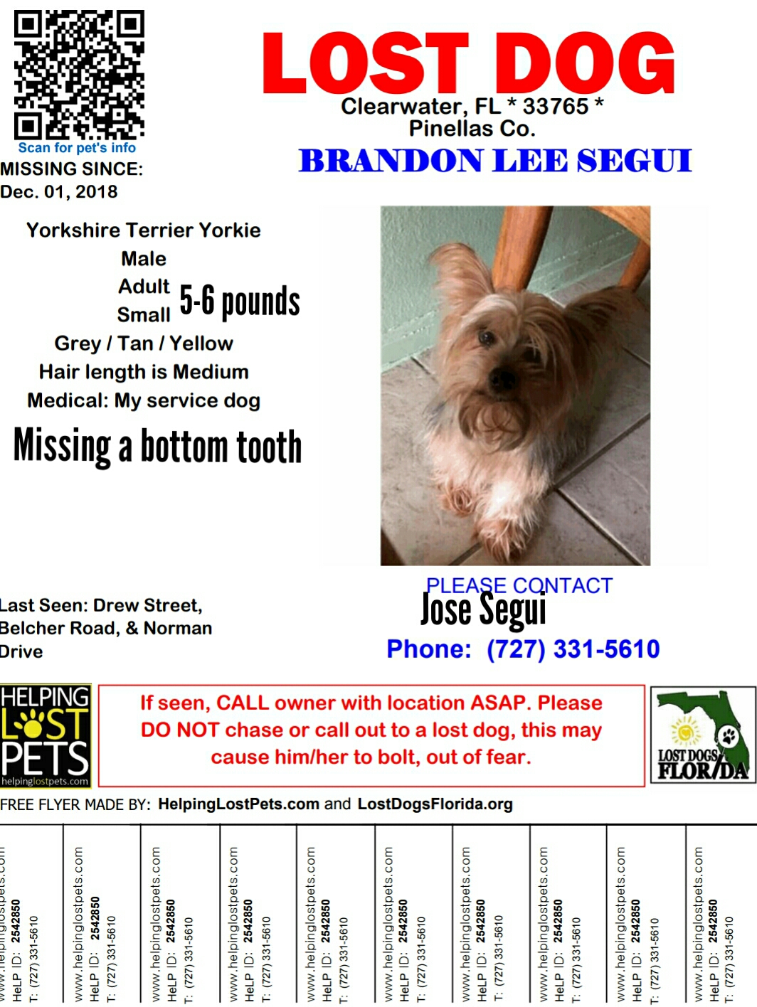 Image of Brandon, Lost Dog