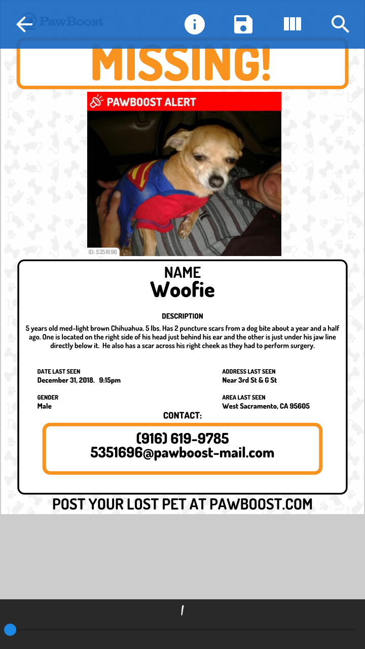 Image of Woofie, Lost Dog