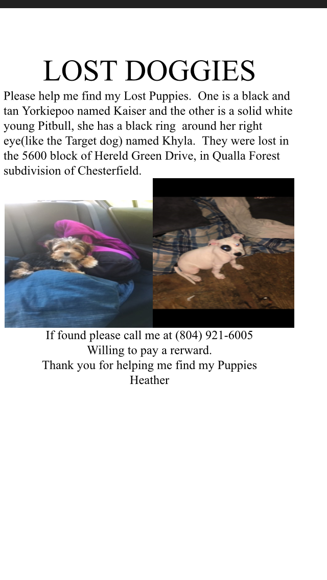 Image of Kaiser and khyla, Lost Dog