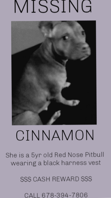 Image of Cinnamon, Lost Dog
