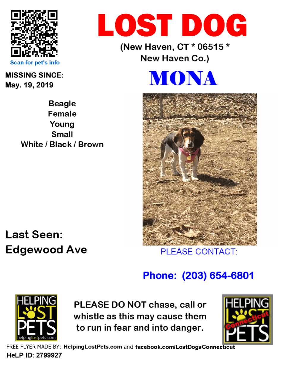 Image of Mona, Lost Dog