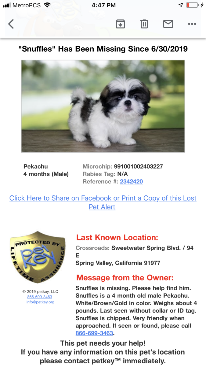 Image of Snuffles, Lost Dog