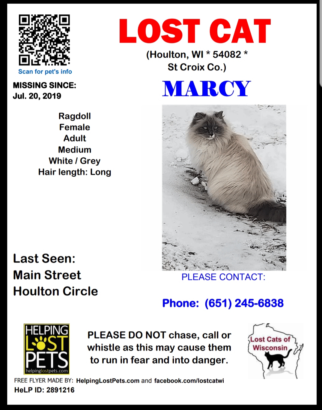 Image of Marcy, Lost Cat