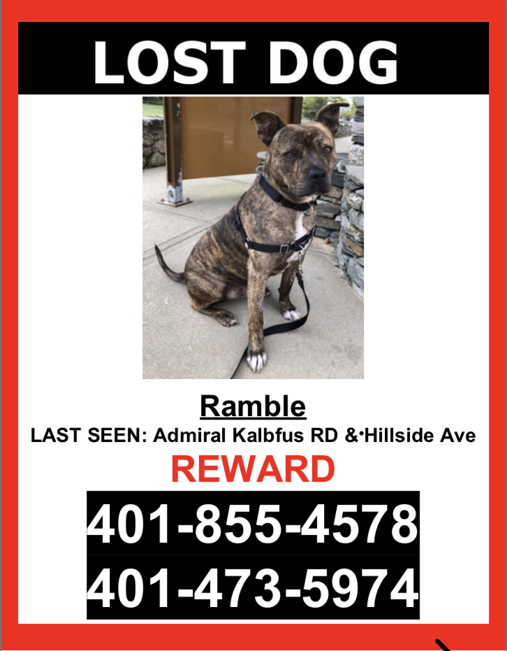 Image of Ramble, Lost Dog