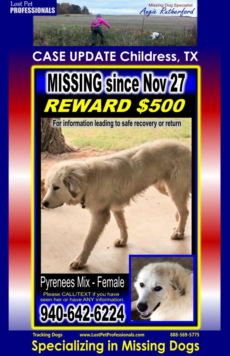Image of Lexa, Lost Dog