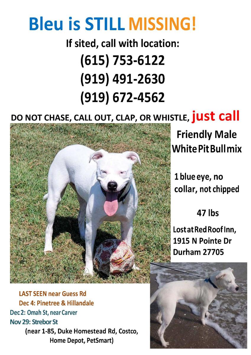 Lost pit store bulls near me