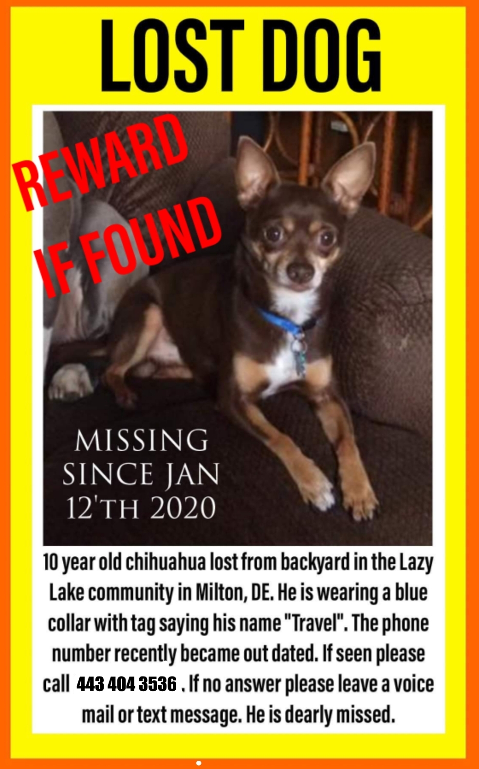 Image of Travel, Lost Dog