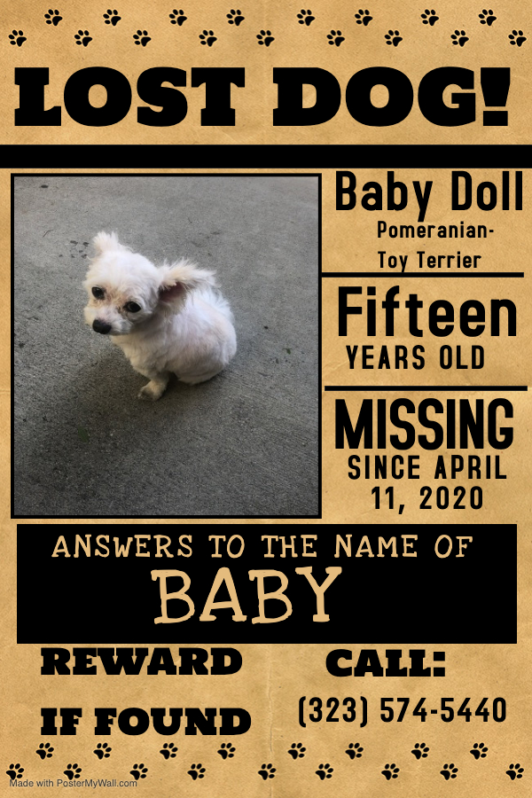 Image of Baby Doll, Lost Dog