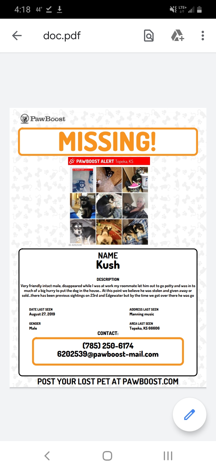 Image of Kush, Lost Dog