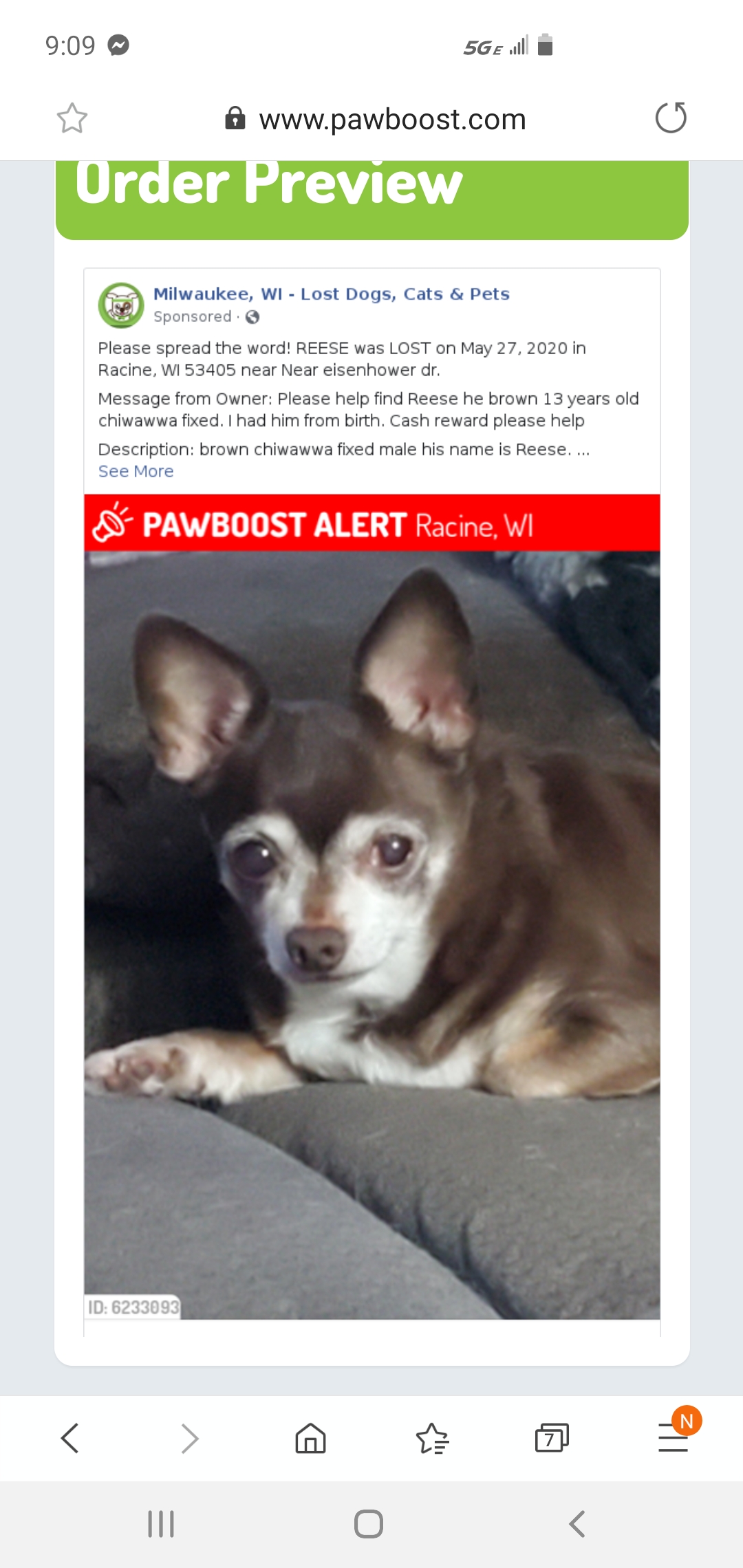 Image of REESE, Lost Dog