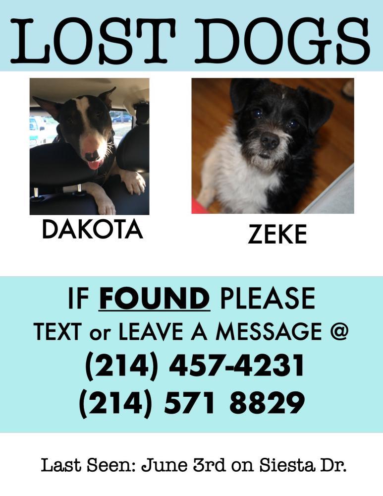 Image of Dakota,zeke, Lost Dog