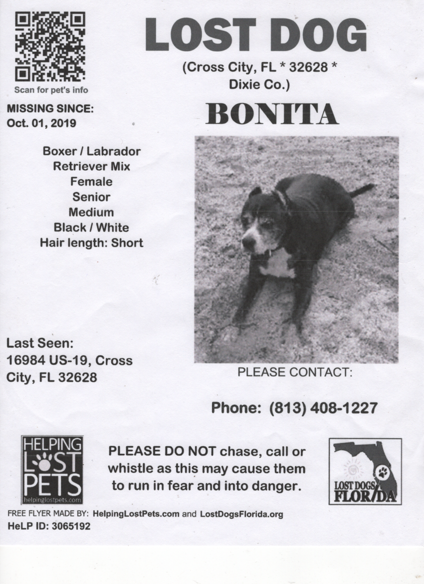 Image of Bonita, Lost Dog
