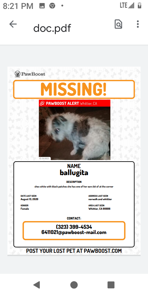 Image of ballugita, Lost Dog