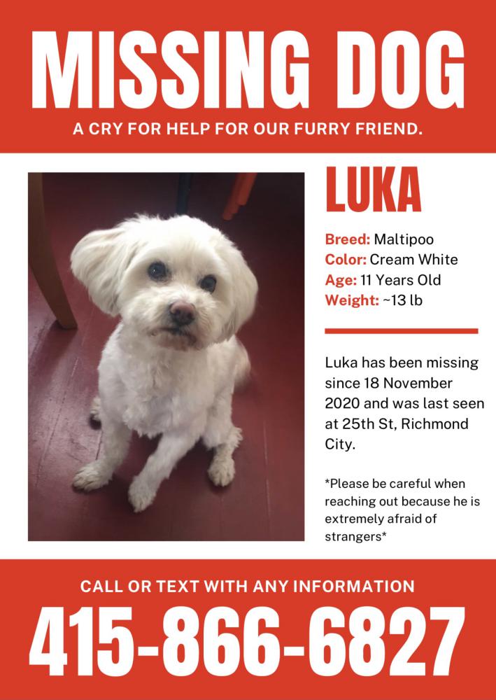 Image of Luka, Lost Dog