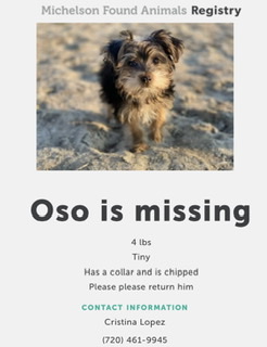 Image of OSO, Lost Dog