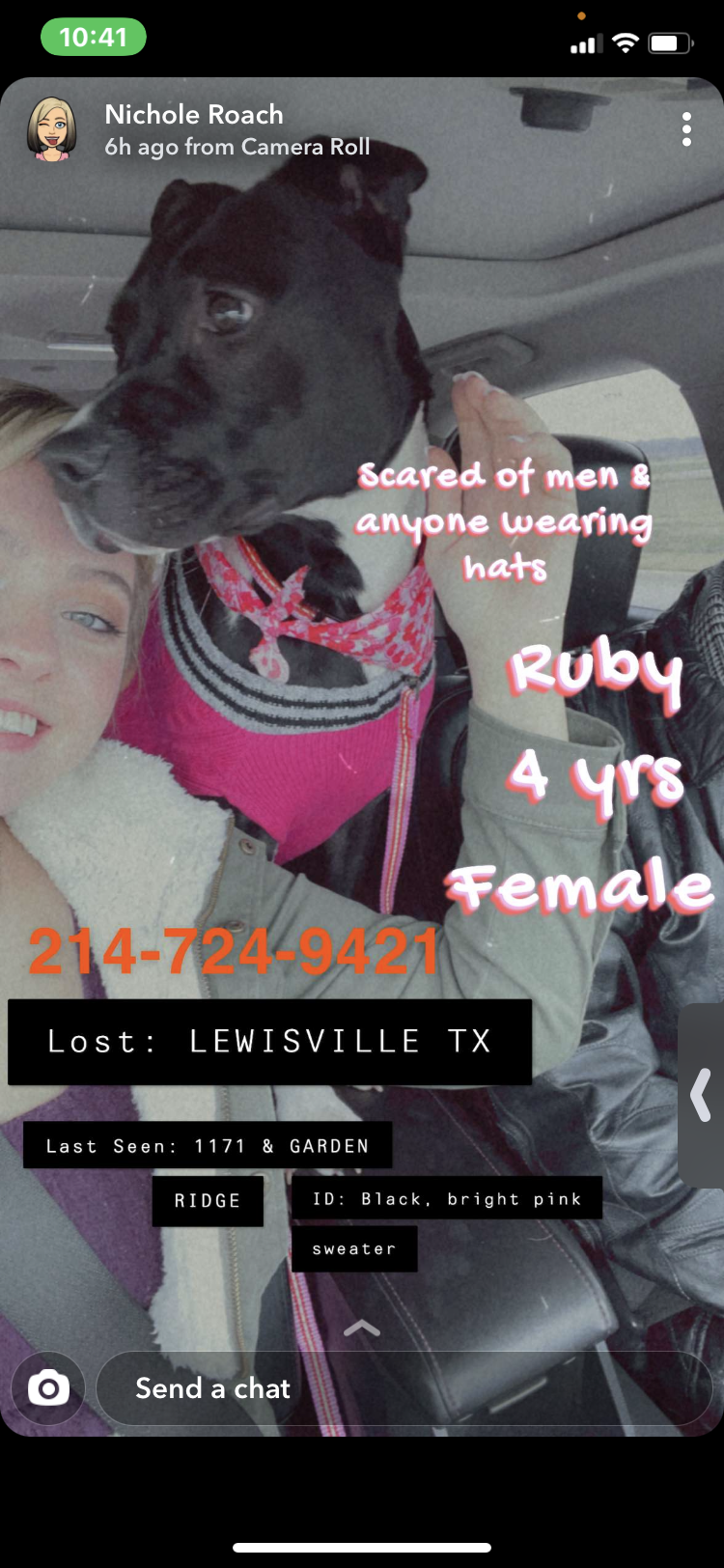 Image of Ruby, Lost Dog