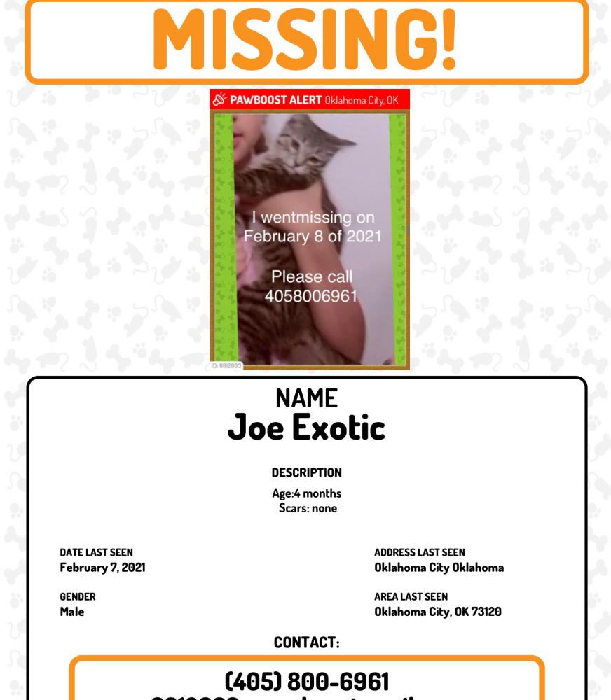 Image of Joe exotic, Lost Cat