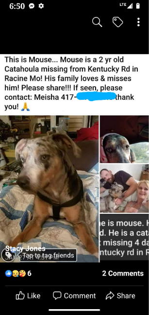 Image of Mouse, Lost Dog