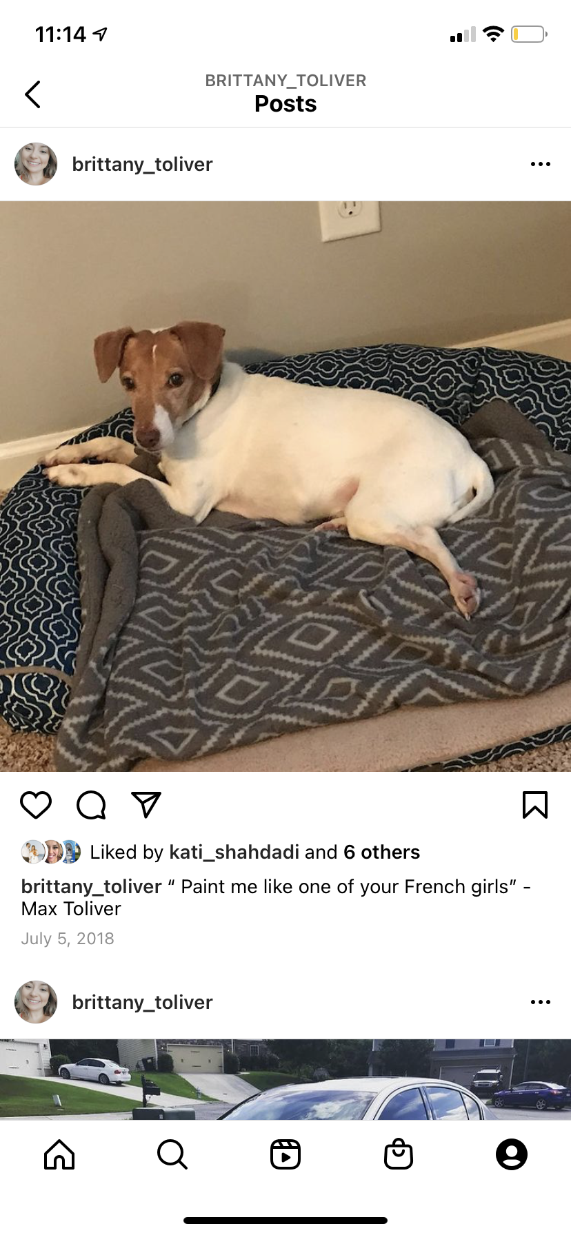 Image of MAX, Lost Dog