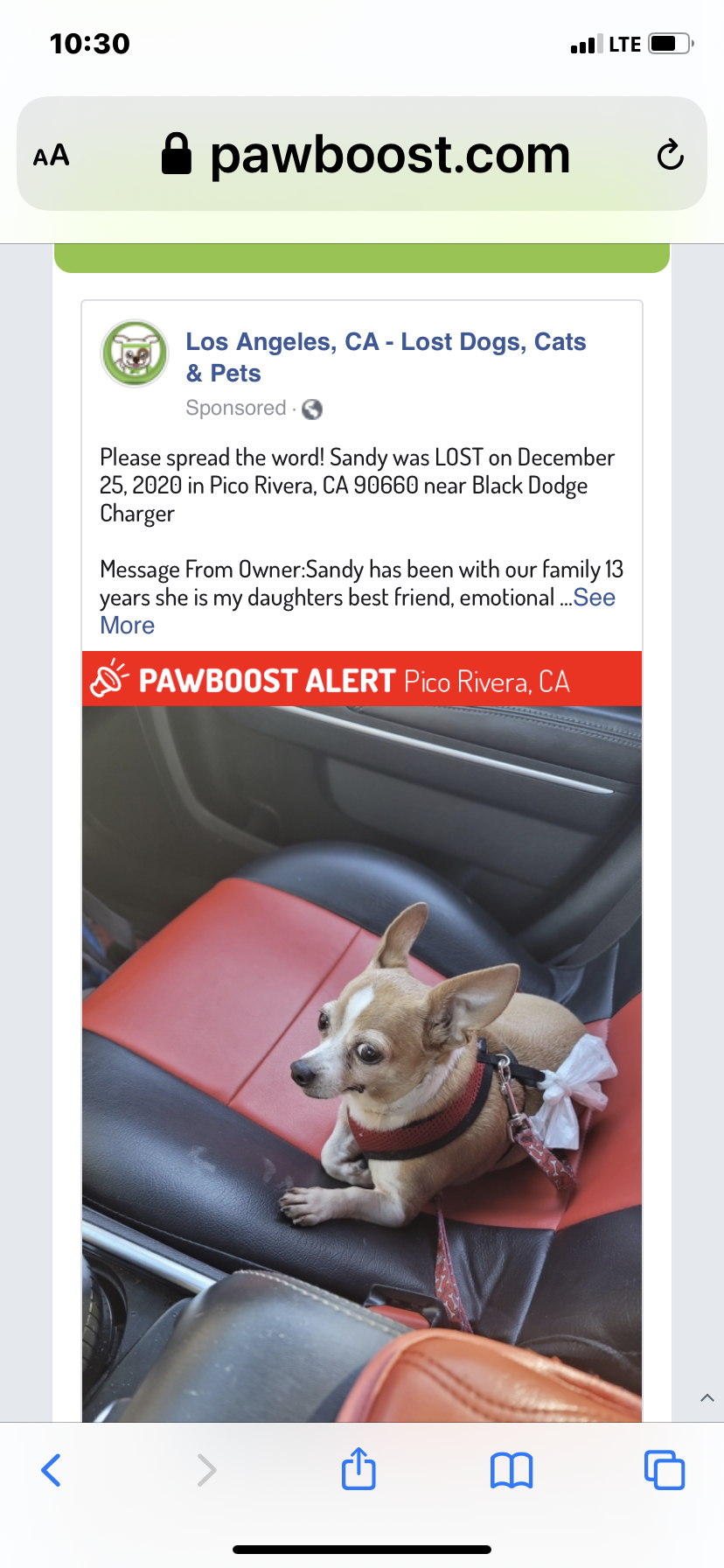 Image of Sandy, Lost Dog