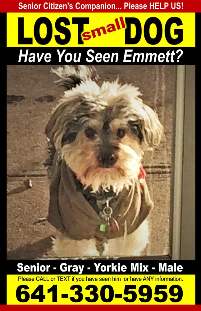 Image of Emmett, Lost Dog