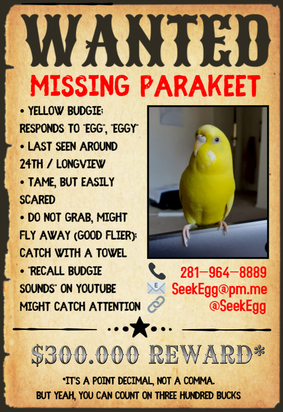 Image of Egg, Lost Bird