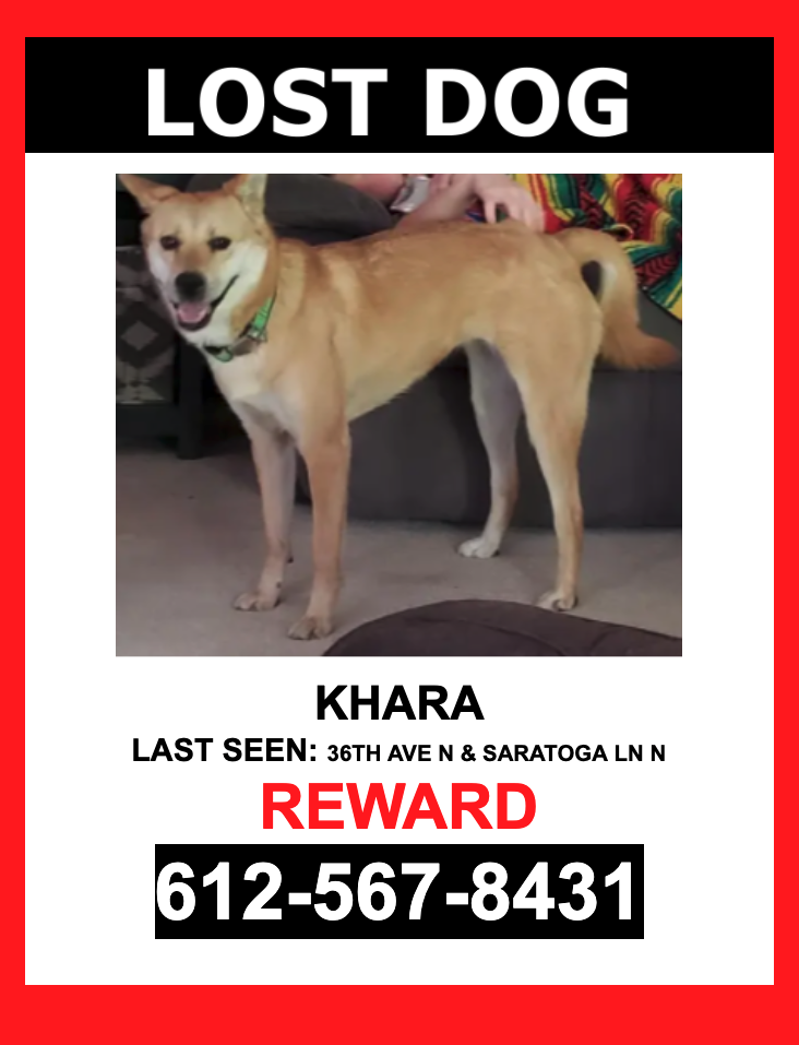 Image of Khara, Lost Dog