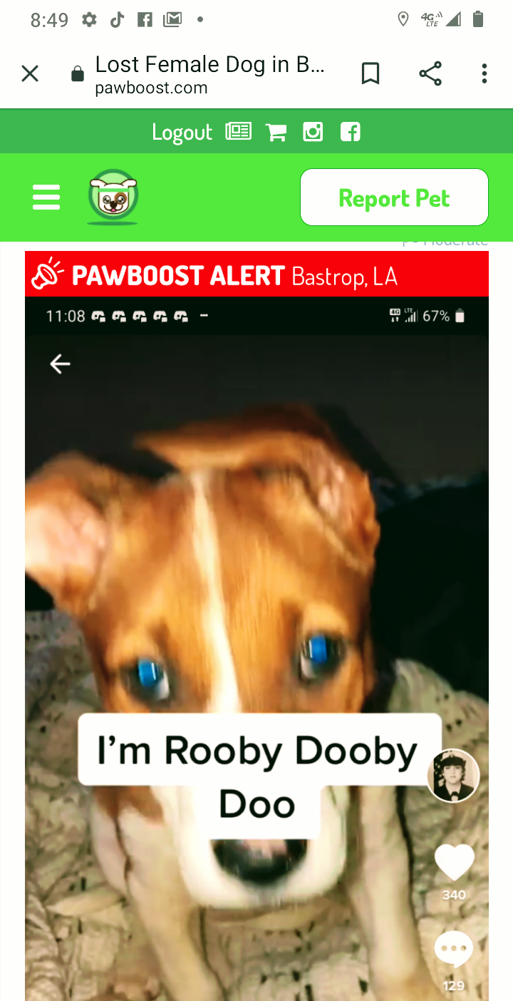 Image of Rooby Dooby Doo, Lost Dog