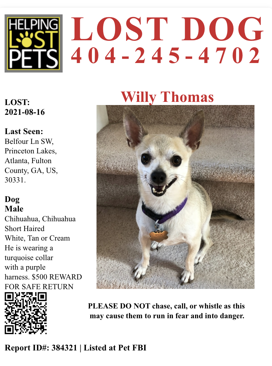 Image of Willy, Lost Dog