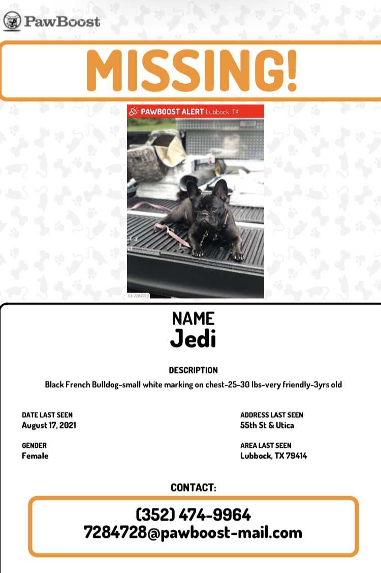 Image of Jedi, Lost Dog