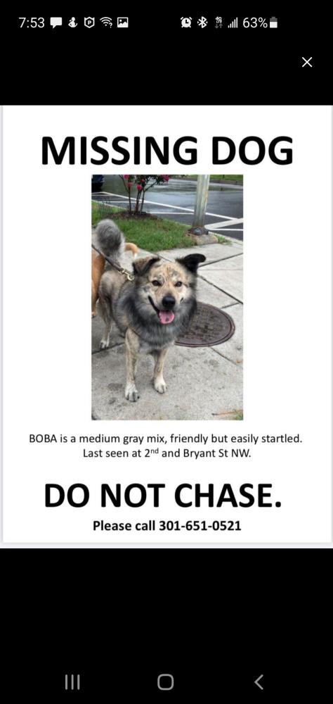 Image of Boba Fett, Lost Dog