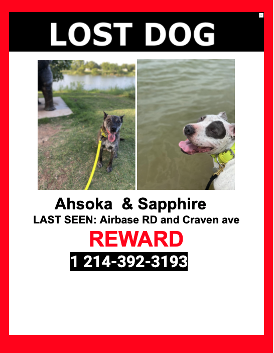 Image of Ahsoka and Sapphire, Lost Dog