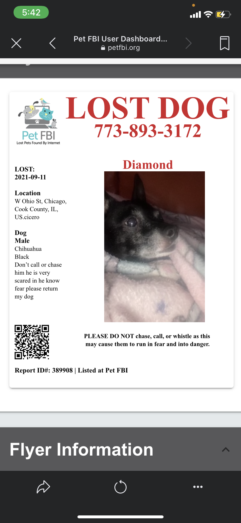 Image of Diamond, Lost Dog