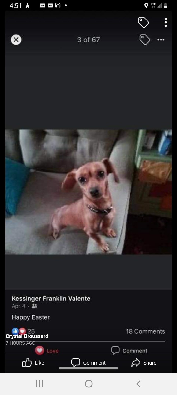 Image of Andoullie, Lost Dog