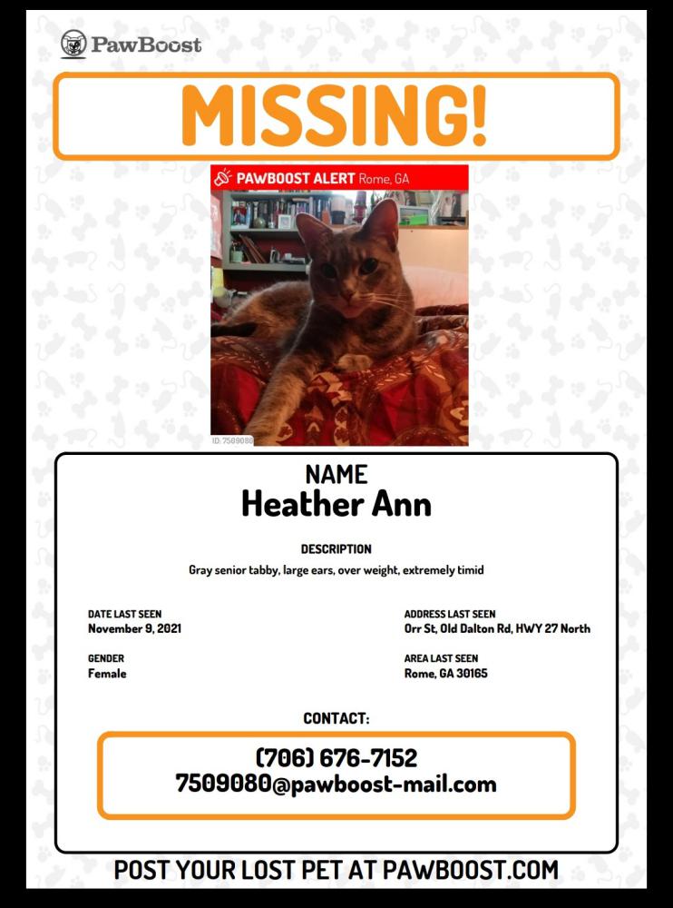 Image of Heather Ann, Lost Cat