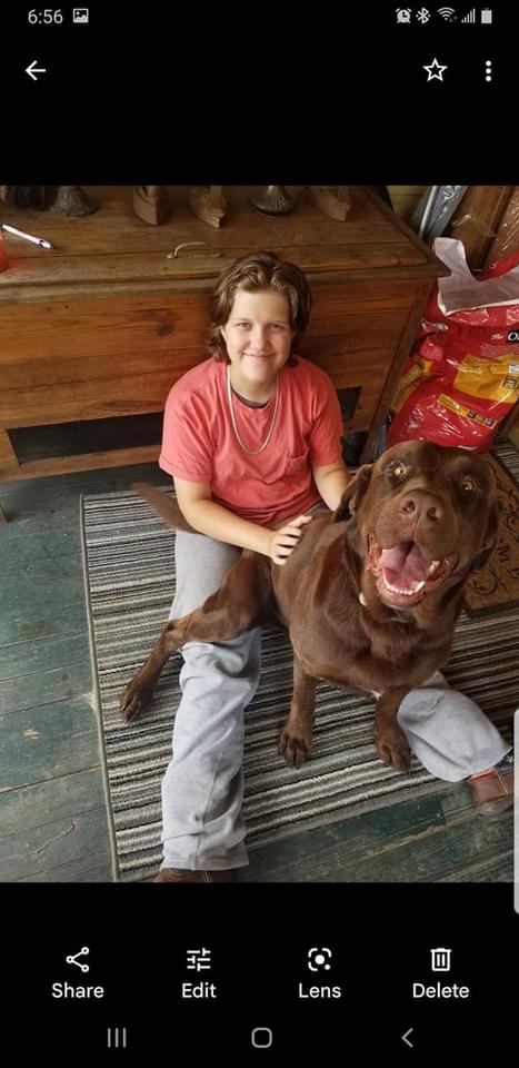 Image of Will (Chocolate Lab), Lost Dog