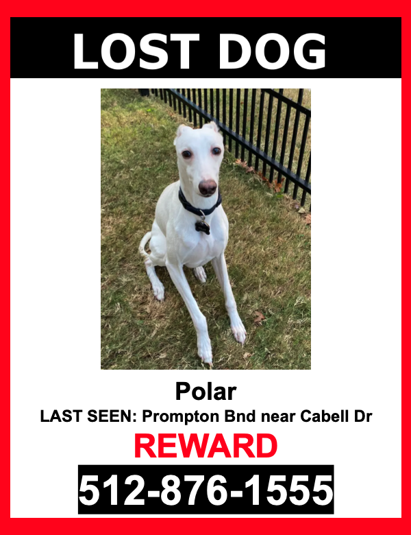 Image of Polar, Lost Dog