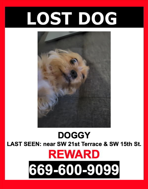 Image of Doggy, Lost Dog