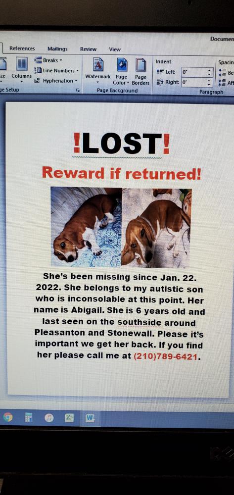 Image of Abigail, Lost Dog