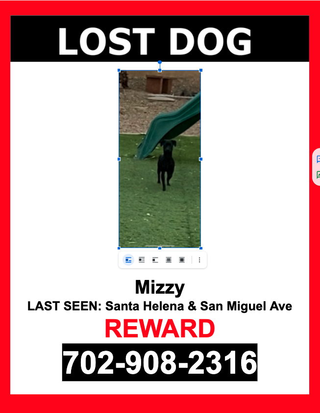 Image of Mizzy, Lost Dog