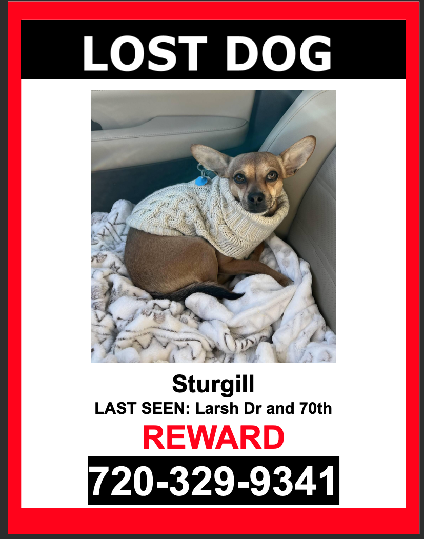 Image of Sturgill, Lost Dog