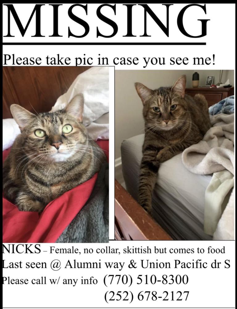 Image of Nicks, Lost Cat