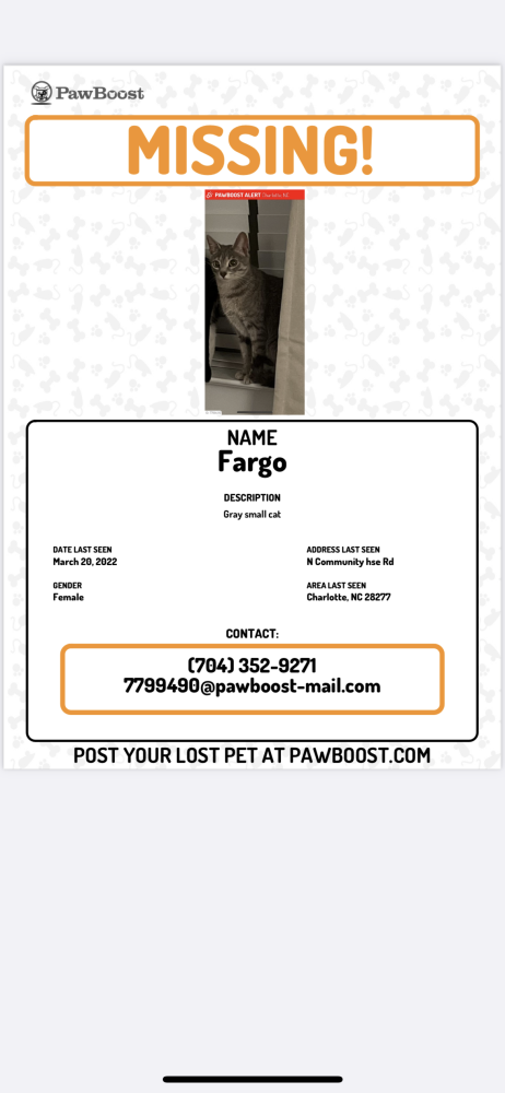 Image of Fargo, Lost Cat